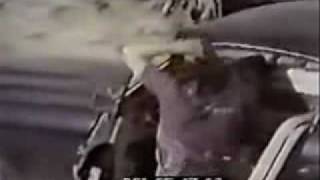 The Doors: Universal Mind