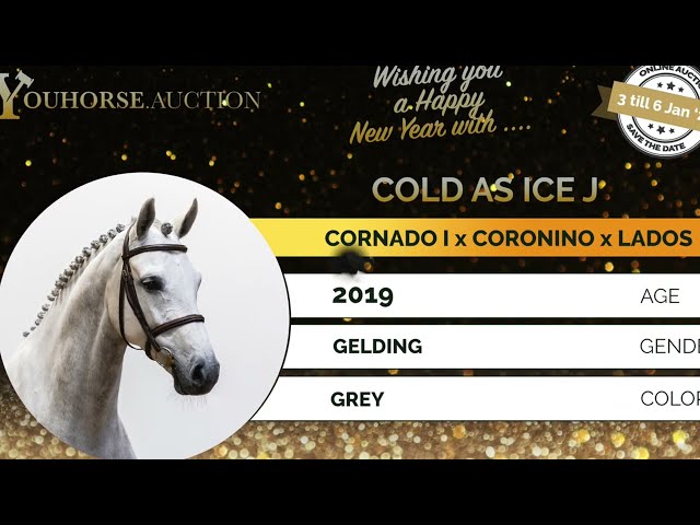 Cold as Ice