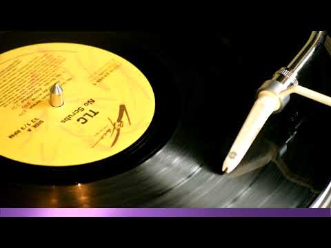 TLC - No Scrubs (With Rap)