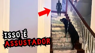 Vídeos Assustadores De Terror Que Vão Te Causar Pesadelos Hoje à noite!