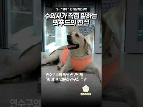 '함께' 반려문화 연구회 '수의사와 함께하는 반려 건강 토크쇼'