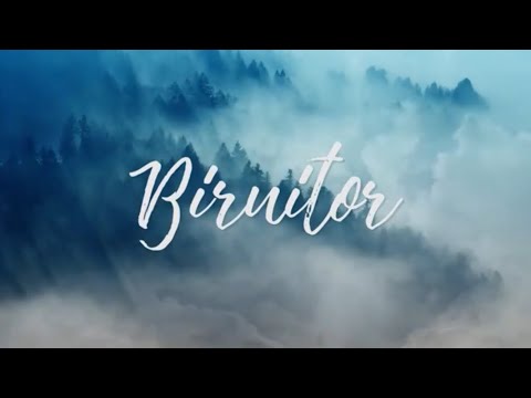 Revive – BIRUITOR