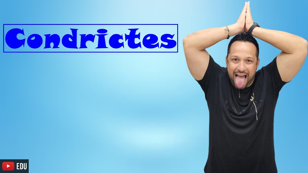 Condrictes ou Peixes Cartilaginosos - Características Gerais - Classe Chondrichthyes - Zoologia