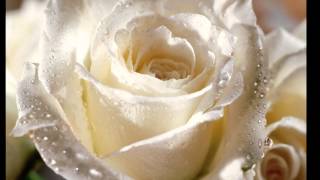 Saint Etienne   Find Me a Boy