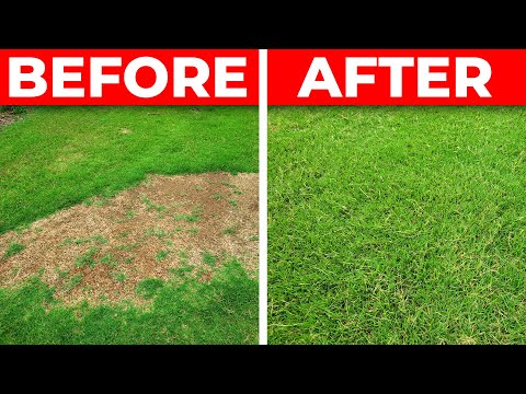How to Fix a Bare Spot in the Lawn - 3 Tips for Fast Repair