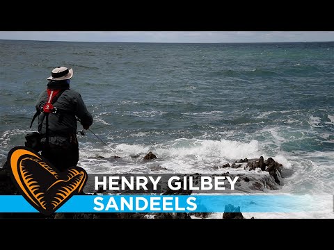 Henry Gilbey Savage Sandeels - Bass Fishing