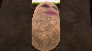 I&#39;m a potato MEME #potato #memes #funny