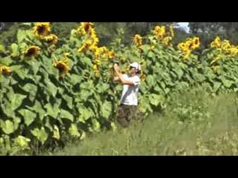 Moses Pendleton at work