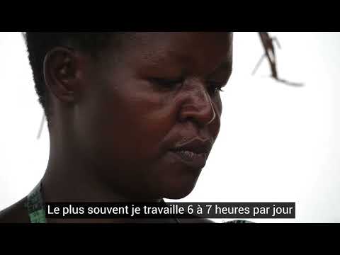 Recycling plastic to oil,cobblestones, plant trees