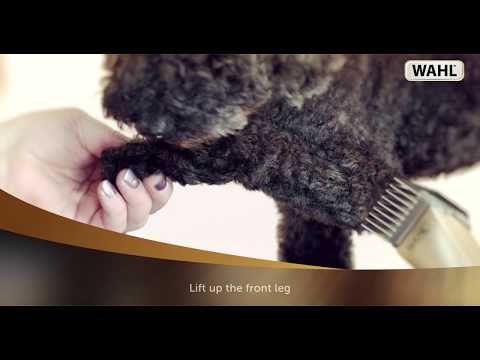 Wahl Clipper Corporation WAHL 1260-0473 KM5 Kerpamoji mašinėlė gyvūnams video