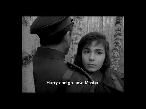 [FREE 10+] Post Punk x Alternative Indie Rock Sample Pack/Loopkit Vol 21 "Runaway" | Guitar Loop Kit