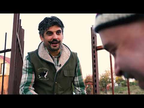 Cum se sărbătorește Ziua României | Iancsi și Neluțu