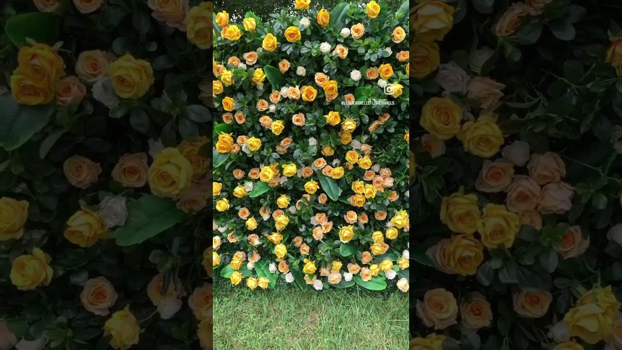 Promotional video thumbnail 3 for Flower Walls by Leslie Arnelle