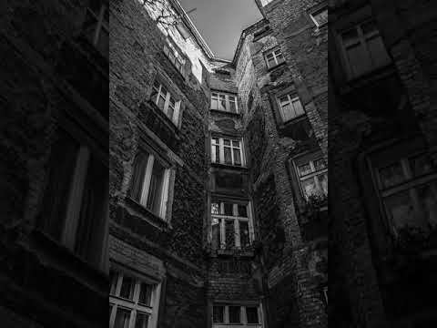 WZT - Zarys dnia z L.A.