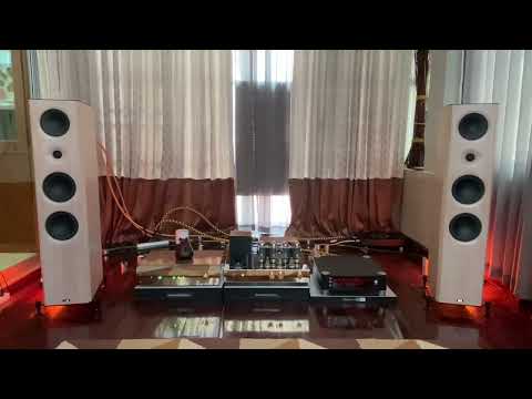 Under the tallest tree / Annette askvik