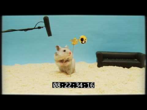 Peirre's Clever Hamster Audition