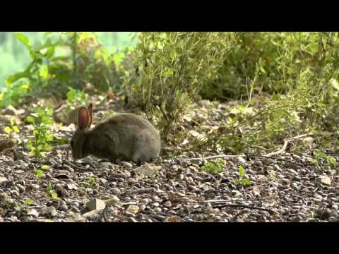 Poggio La Noce Wine • Terroir