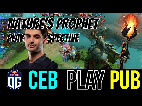 OG.CEB [NATURE'S PROPHET] OWNAGE ON PUB - PLAYER PERSPECTIVE
