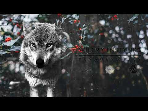 BEVAUES X ADZ - WILCZY INSTYNKT (FEAT. FILY)