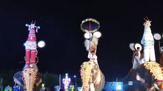 preview picture of video 'Kollam Pooram കൊല്ലം പൂരം 2018(5/6)'