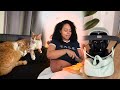 Ce Vlog M A Fait Du Bien 🫶 Deuil Aménagement Bébé Etc Weeklyvlog