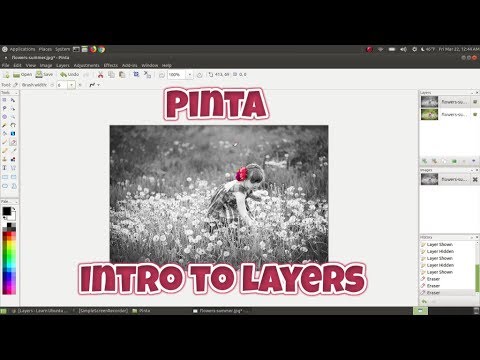 Pinta: Intro to Layers (The Basics)