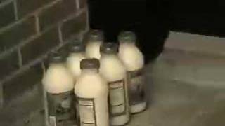 Early Morning Sunshine