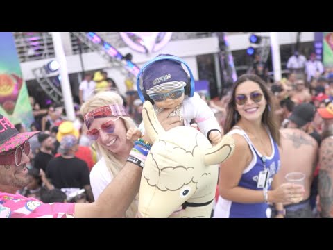 Groove Cruise Orlando 2022: New Trailer!