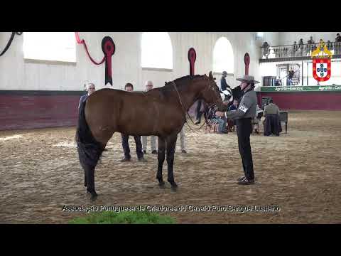 231021 19 Principe - Aprovação de Reprodutores