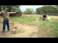 How to shoot a slingshot, cut cards with amazing ...