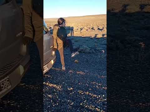 entrenando en la ruta 40, Tres Lagos Santa Cruz 💪