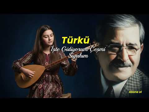 İşte Gidiyorum Çeşmi Siyahım / Türkü  [ Anadolu Ezgileri ]