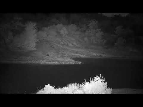 Djuma: Lone Impala - 21:49 - 01/07/2023