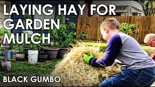 How To Use Hay as Garden Mulch