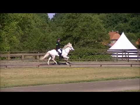 Kronshof Special 2018: S1.T2 A-Finale