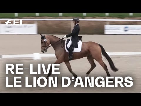 RE-LIVE | Dressage Day 2 - 7 years old | Le Lion d'Angers (FRA) | Eventing | Young Horses