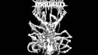 Immured - Odious