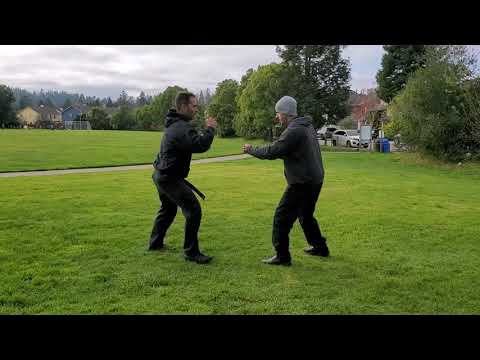 Koto Ryu - Kakko- Shoden Level