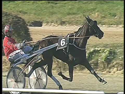 Trotto 03/03/2017 - 3ª corsa