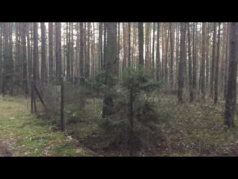 Działka k.Łodzi | Wandzin Las