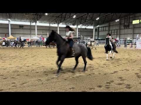 EhCapa Idaho Horse Expo 2024 Bullet Team Performance