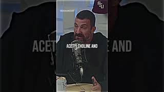 Nicotine Can Do What? -  Andrew Huberman