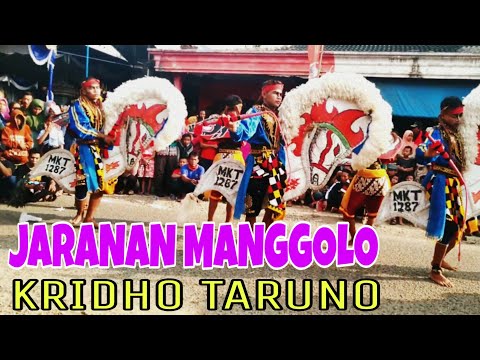 Jaranan Manggolo Kridho Taruno Desa Singgahan