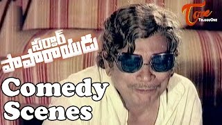 Sardar Papa Rayudu  Movie Comedy Scenes  Back to B
