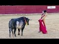 Spanish matador Barrio killed by bull