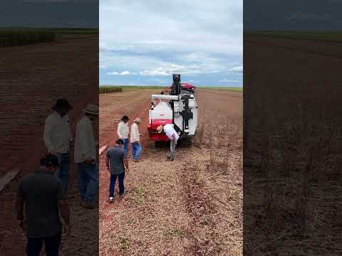 Colheitadeira Yanmar YH880 adaptada para pesquisa agrícola