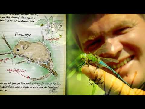 Wild Britain With Ray Mears S01E03   Hay Meadow