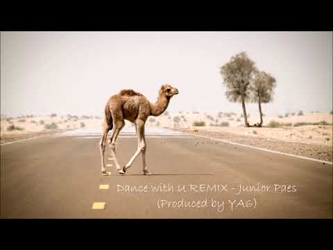 Dance with U REMIX - Junior Paes (Produced by YA6)