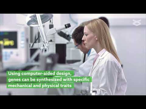 Producing spider silk protein with synthetic biology