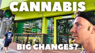 Cannabis in Thailand - What's Happening Now?